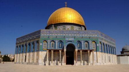فداك يا فلسطين.. عذرا فلسطين
