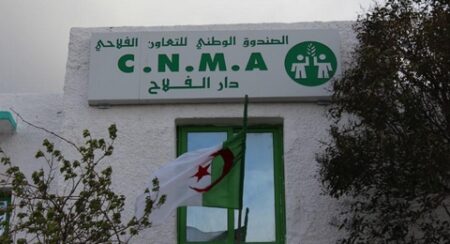 الصندوق الوطني للتعاون الفلاحي: مباشر ة عملية التكفل بالمتضررين من التقلبات المناخية الأخيرة