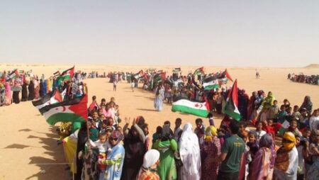 فريق عمل “إيكوكو” يتعهد بتفعيل العمل المشترك حتي تقرير مصيره