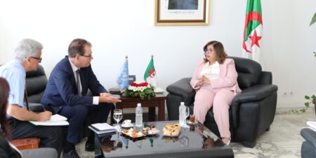 وزيرة البيئة تبحث سبل التعاون المشترك مع منظمة الأمم المتحدة للتنمية الصناعية