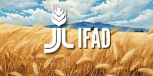 التابع للأمم المتحدة.. الترخيص بمساهمة الجزائر في إعادة التكوين لموارد الصندوق الدولي للتنمية الزراعية