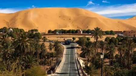 بشار.. توافد نحو 3200 سائح من الجالية الوطنية المقيمة بالخارج على تاغيت