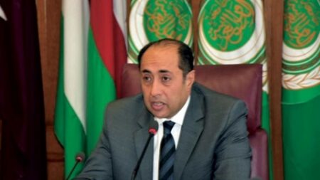 الأمين العام المساعد لجامعة الدول العربية: لم نعد نصنف حزب الله منظمة إرهابية
