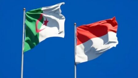 إندونيسيا تأمل في تأسيس منتدى أعمال أندونيسي-جزائري في أقرب وقت