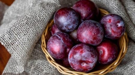 البرقوق.. الإفراط في أكله مُضر بالجسم