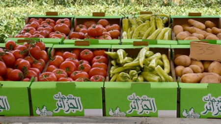 المعرض يدوم إلى غاية 8 أوت المقبل.. 20 عارضا في المعرض الأول للمنتجات الفلاحية بأزفون