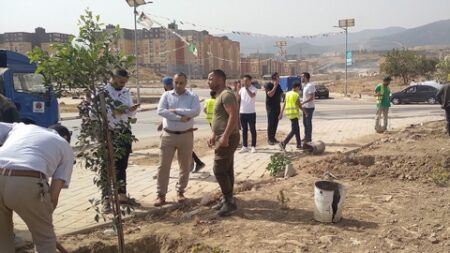 حملة تشجير كبيرة بالمدينة الجديدة بوعينان