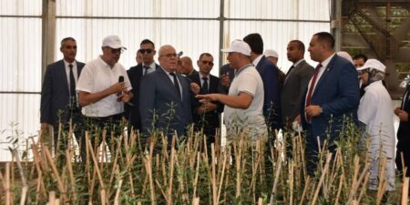رسميا.. الجزائر تحصي 1.2 مليون مستثمرة فلاحية عبر التراب الوطني