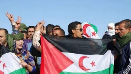 الفدرالية الدولية للصحفيين المتضامنين مع الشعب الصحراوي تأسف لإدارة فرنسا ظهرها لعملية السلام في الصحراء الغربية