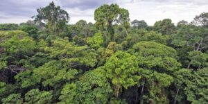 العلم والإيمان.. الأرض تتنفس