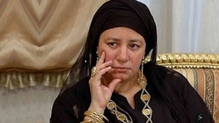 أحمد سلامة: عودة عبلة كامل مكسب كبير للفن المصري