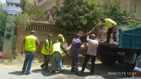 الدرارية.. فرق التنظيف تواصل تدخلاتها