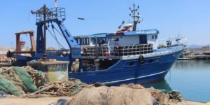 صيد بحري : تسهيلات جديدة في مجال اقتناء العتاد ستدخل قريبا حيز التنفيذ