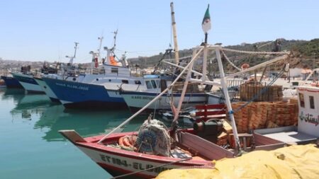صيد بحري: نحو استحداث صندوق لتعويض البحارة إثر الاضطرابات الجوية وفترات الراحة البيولوجية