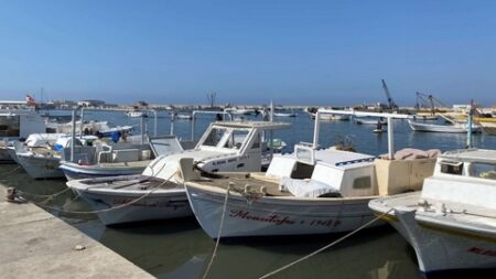 بصفة استثنائية.. فتح إمكانية تغيير نشاط قوارب النزهة إلى الصيد الحرفي