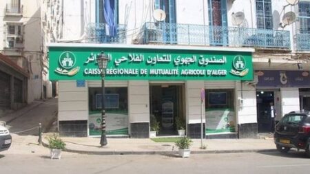 سيتم إطلاقه قريبا.. صندوق التعاون الفلاحي يستحدث منتجا جديدا للتأمين الفردي ضد الحوادث