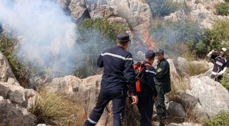 قالمة: إخماد حريق بعين شويخة ببلدية بوحمدان