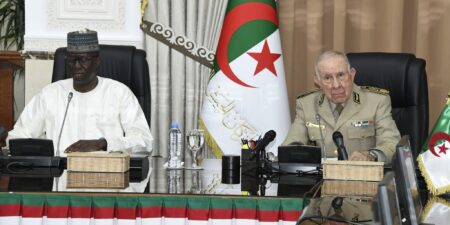 الجزائر مقتنعة بأن حل المشاكل الداخلية لدول القارة الإفريقية لا يمكن أن يتحقق إلا داخليا