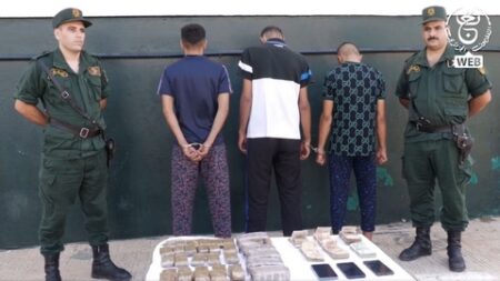 الدرك الوطني بوهران.. حجز أزيد من 5 كلغ من الكيف المعالج