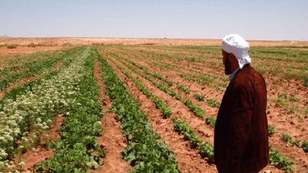 “توزيع مقررات الإستفادة من إستصلاح الأراضي الفلاحية” بتميمون