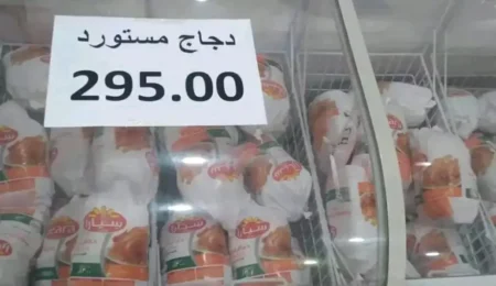 بومرداس.. الدجاج المستورَد لكسر غلاء الأسعار