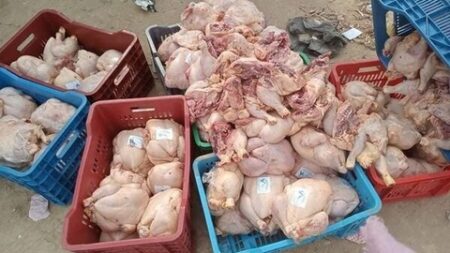برج بوعريريج.. إحباط محاولة تسويق كمية من الدجاج الفاسد