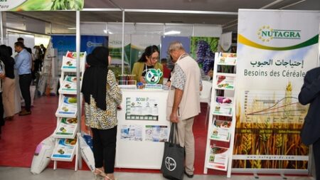 ضرورة تكثيف الجهود لتجسيد الاستراتيجية الوطنية الرامية إلى تحقيق الاكتفاء الذاتي في المنتجات الزراعية