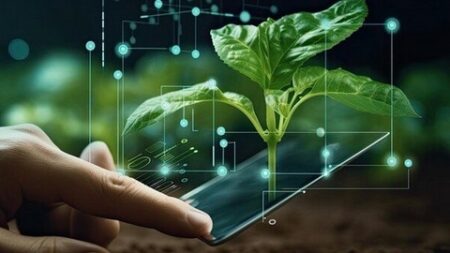 الجزائر تتوجه لى الزراعة بالذكاء الاصطناعي.. التجارب تمكن من مضاعفة إنتاج الخضروات