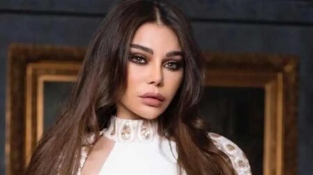 هيفاء وهبي: لا يحق لأيّ شركة إنتاج أن تحذف أغنياتي