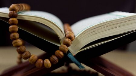 حفاوة القرآن بالحياة