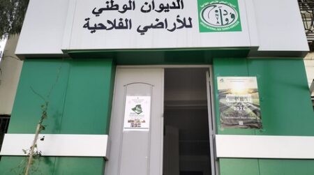 عين تموشنت.. رقمنة العقار الفلاحي من أجل تسيير القطاع برؤية واضحة