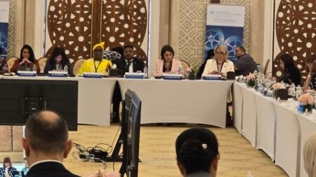 افتتاح مؤتمر النساء البرلمانيات بنجامينا بمشاركة وفد برلماني مشترك بين غرفتي البرلمان