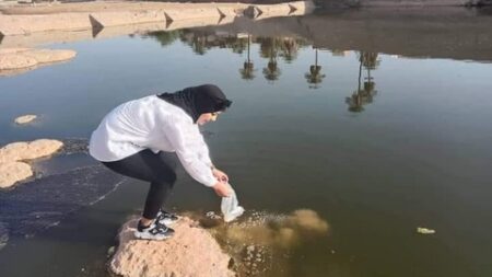 عودة ظهور قشريات المياه العذبة ببشار
