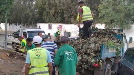 نحو انشاء فضاء لتجميع المخلفات الخضراء و القضاء على النقاط السوداء ببئر توتة