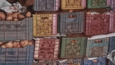 عين الدفلى: حجز أكثر من 82 قنطارا من البطاطا في إطار محاربة المضاربة غير المشروعة