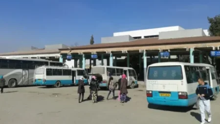تراخيص نقل جديدة بخنشلة