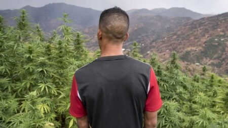 المغرب: محاكمات تجار المخدرات الصغار محاولة للتستر عن المتورطين الحقيقيين من صناع القرار