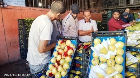 سطيف: تراجع كبير في أسعار التفاح