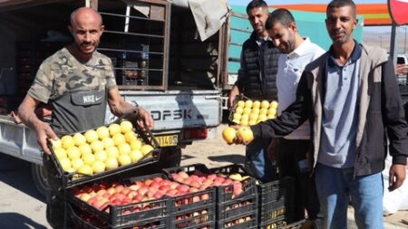 بيع التفاح بأسعار مخفضة مباشرة من الفلاحين إلى تجار التجزئة