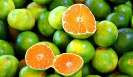 البرتقال الأخضر.. هل هو مُضر بالصحة؟