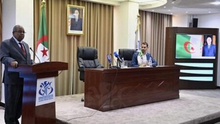 التنظيم المحكم للثورة التحريرية ساهم في انتشار صداها عبر الصحافة العالمية