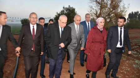 وزير الفلاحة: كميات معتبرة من منتوج البطاطا ما بعد الموسمية ستدخل الأسواق نهاية نوفمبر الجاري