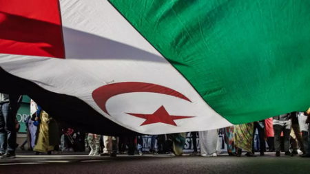 الاتحاد الدولي للصحفيين المتضامنين مع الشعب الصحراوي يدين الاعتداء على الصحفي محمد ميارة