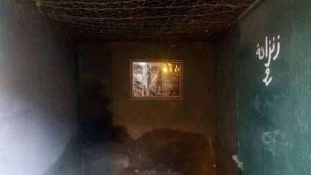“قصر الطير”.. شاهد على صمود شعب أراد الحياة