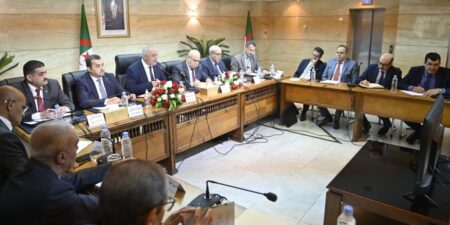 اتخاذ كل التدابير لربط مشاريع الاستثمار الفلاحي بالجنوب بالطاقة