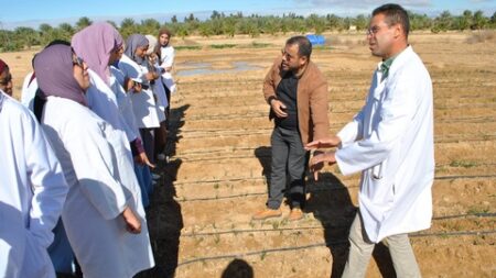 مدير المركز بالمناطق القاحلة ومحطاته.. البروفيسور كشبار يكشف: مركز البحث العلمي يعزز التعاون في مشاريع تطوير الزراعة الصحراوية