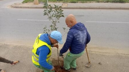 تشجير مداخل المدن و الاحياء السكنية ببئر توتة