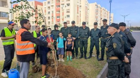 غرس شجيرات تتماشى  و المحيط الحضري ببلديات الرويبة