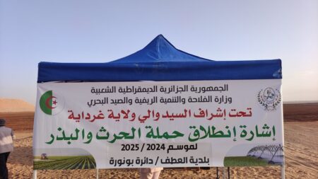 غرداية.. أكثر من 2000 هكتار لإنجاح شعبة زراعة الحبوب