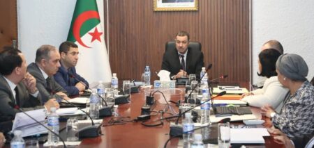 سعيود يترأس اجتماعا لدراسة الجوانب التنظيمية والإدارية لمؤسسات النقل البحري